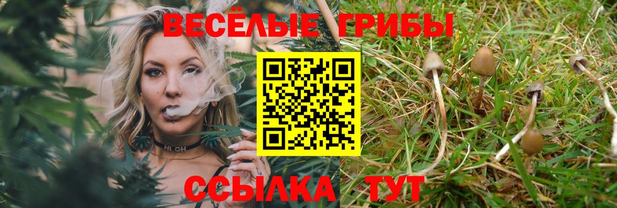 Псилоцибиновые грибы Psilocybe  Вход с VPN  Новочеркасск 